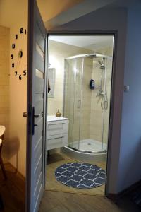 y baño con ducha y lavamanos. en Dom pod orzechami - Apartament, en Nałęczów