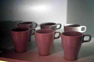Fotografia z galérie ubytovania Apartament Nałęczów dom pod orzechami v destinácii Nałęczów