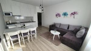 Kjøkken eller kjøkkenkrok på Apartments Spring