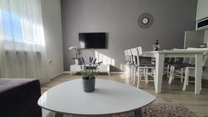 En TV eller et underholdningssystem på Apartments Spring