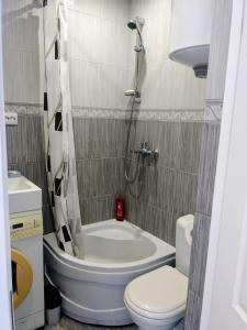 a bathroom with a tub and a toilet and a shower at Liudmila in Liepāja