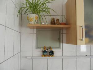 Kuchyň nebo kuchyňský kout v ubytování Ferienwohnung im Prossner Gründel