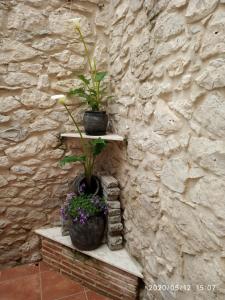 dos macetas sentadas en una pared de piedra en El Lagar, en Canalejas de Peñafiel