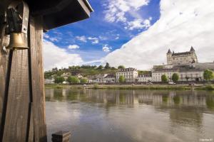a view of a castle from the river at BATEAU LE VENT DE TRAVERS in Saumur