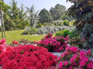 un jardin avec des fleurs roses et des buissons blancs dans l'établissement Chambre d'hôtes Les Bruyères, à Bruc-sur-Aff