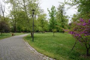 Taman di luar Apartament Gliwice Centrum Fredry II
