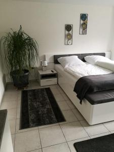 a bedroom with a bed and a potted plant at Ferienwohnung "Vier Pfoten" in Korbach in Korbach