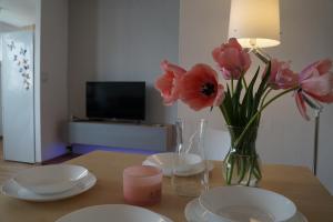 TV a/nebo společenská místnost v ubytování Apartament Gliwice Centrum Dunikowskiego z garażem