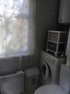 a small bathroom with a toilet and a window at Searooms in Lapmežciems