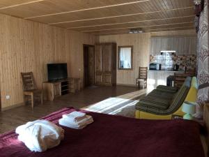 a room with a bed and a couch and a kitchen at Апартаменты Solnce Karpat in Polyana