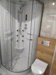 łazienka z prysznicem i toaletą w obiekcie Apartament Przy Lesie Słoneczne Tarasy w Dziwnówku +20 zdjęć