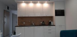 Kuchnia lub aneks kuchenny w obiekcie Apartament Przy Lesie Słoneczne Tarasy