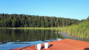 a dock with white flip flops on top of a lake at Wodamoja - apartamenty nad jeziorem in Stawiguda