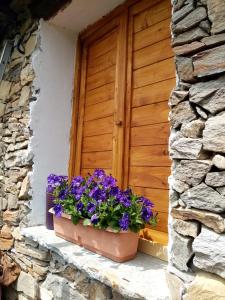 uma janela com flores roxas numa parede de pedra em Il Càssero em Pomaretto