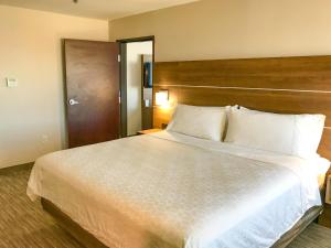 Postel nebo postele na pokoji v ubytování Holiday Inn Express & Suites Lubbock West by IHG