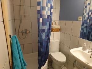 een badkamer met een toilet, een wastafel en een douche bij Līčupes in (( Strēli ))