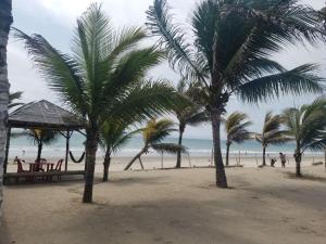 a beach with palm trees and people on the beach at My Little House Surf&backpacker Hostel in Montañita