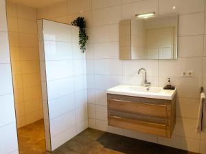 a bathroom with a sink and a mirror at Erve iemhorst in Losser +19 photos