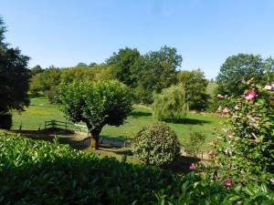 a garden with a tree and flowers in a field at Du coq à l'âme in Naves