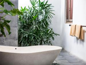 a bath tub in a bathroom with a plant at D'omah Yogya Hotel in Yogyakarta
