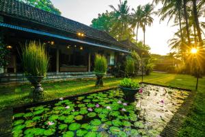 una casa con un laghetto di fronte a una casa di D'omah Yogya Hotel a Yogyakarta