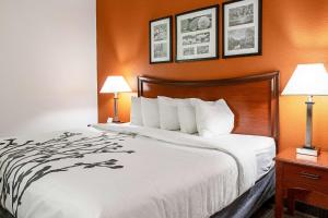 Una cama en una habitación de hotel con dos lámparas. en Sleep Inn & Suites Hobbs, en Hobbs 48 fotos más