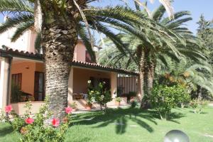 a house with two palm trees in the yard at B&B Monte Gruttas in Camisa