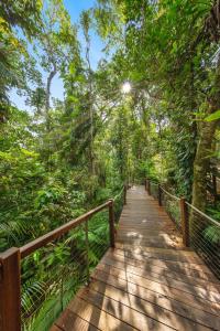 a wooden bridge in the middle of a forest at Piermonde Apartments Cairns in Cairns