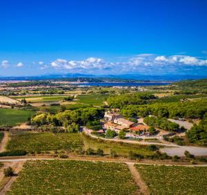 einen Luftblick auf einen Bauernhof mit Fluss und Bäumen in der Unterkunft Château le Bouïs in Gruissan