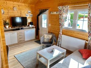 a living room with a couch and a tv at Blockbohlenhaus Plau am See in Plau am See