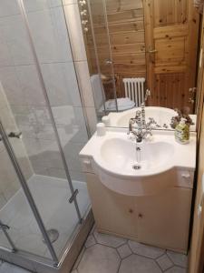 a bathroom with a sink and a shower at Ferienwohnung“puutalossa“ in Sehlen