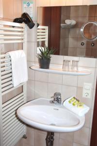 ein Badezimmer mit einem weißen Waschbecken und Regalen in der Unterkunft Hotel an der Sonne in Schönwald