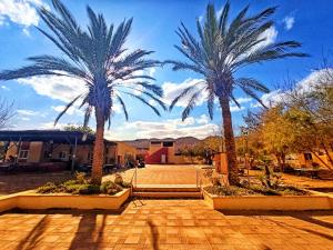 Kibbutz Ketura Guest House外面的花园