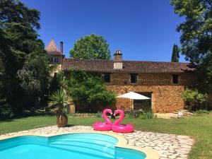 two pink flamingos in a pool in front of a house at Domaine du Bouysset in Saint-Martin-le-Redon