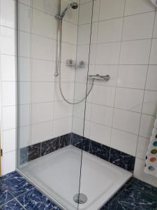 a shower with a glass door in a bathroom at Ferienwohnungen Blischke in Carolinensiel