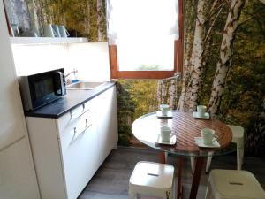 A kitchen or kitchenette at Kőszeghegyalja Vendégház