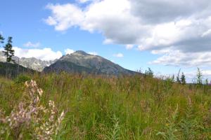 Príroda v okolí apartmánu
