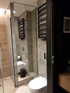 La salle de bains est pourvue de toilettes et d'une douche en verre. dans l'établissement Apartament green-balcony z parkingiem i rowerami, à Świnoujście