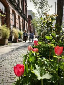 Zahrada ubytování Boutique Hostel LEKKERURLAUB