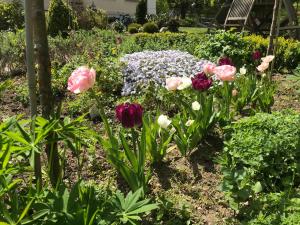 Billede fra billedgalleriet på Mellby 11 Bed & Breakfast i Kivik