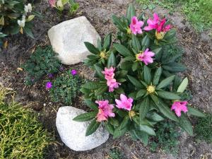 Billede fra billedgalleriet på Mellby 11 Bed & Breakfast i Kivik