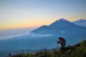 Gallery image of Batur Bamboo Cabin by ecommerceloka in Kintamani