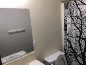 a bathroom with a toilet and a shower curtain at Fully furnished two bedroom apartment in Lawton +13 photos