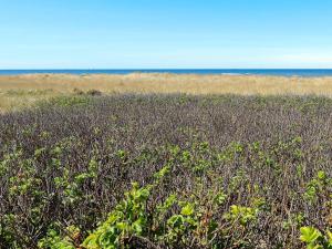 ロンストラップにある6 person holiday home in Hj rringの海を背景にした草原