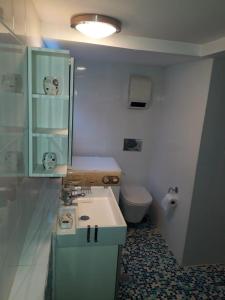 La salle de bains est pourvue d'un lavabo et de toilettes. dans l'établissement BRIGHT MEZZANINE FLAT WITH GARDEN, à Athènes