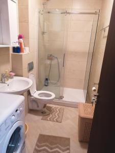 La salle de bains est pourvue d'une douche, de toilettes et d'un lavabo. dans l'établissement Marina, à Budva