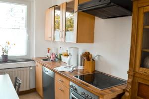 eine Küche mit einer Spüle und einem Herd Top-Backofen in der Unterkunft Quartier Annekathrin in Rudolstadt