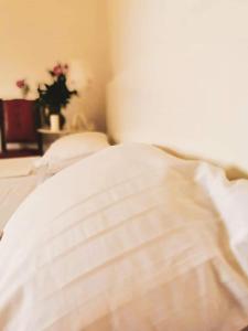 ein Bett mit weißer Bettwäsche und einer Pflanze in einem Zimmer in der Unterkunft Casa File de Poveste in Târgu Jiu