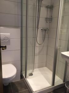 y baño con ducha, aseo y lavamanos. en Hotel Herres Alte Metzgerei en Leiwen