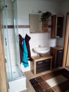un bagno con lavandino e doccia di Gute Laune Pension 2 a Zapel